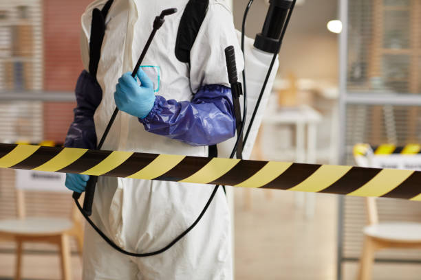 Professional Sewage Cleanup technician working in Delton, MI